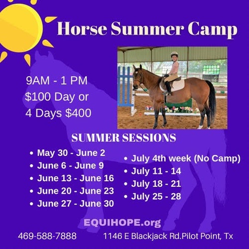 EQUIHOPE Equestrian Community Organizations Pilot Point Chamber